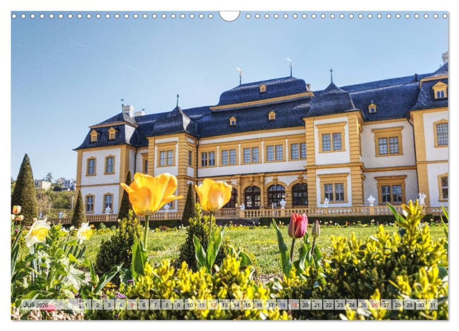 InsideView 12