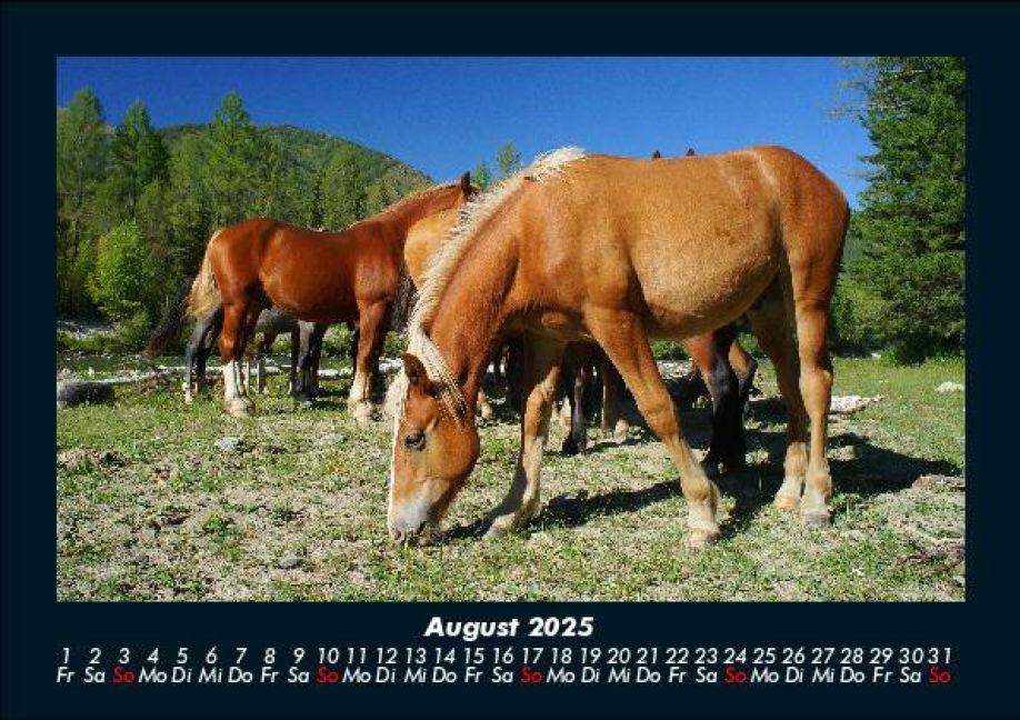 InsideView 12
