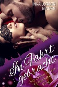 Cover-Bild zum Titel 'In Fahrt gebracht' von 'Inka Loreen Minden'