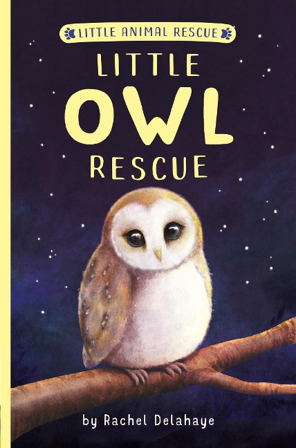 Little Owl Rescue - Rachel Delahaye