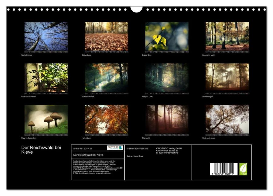 InsideView 5