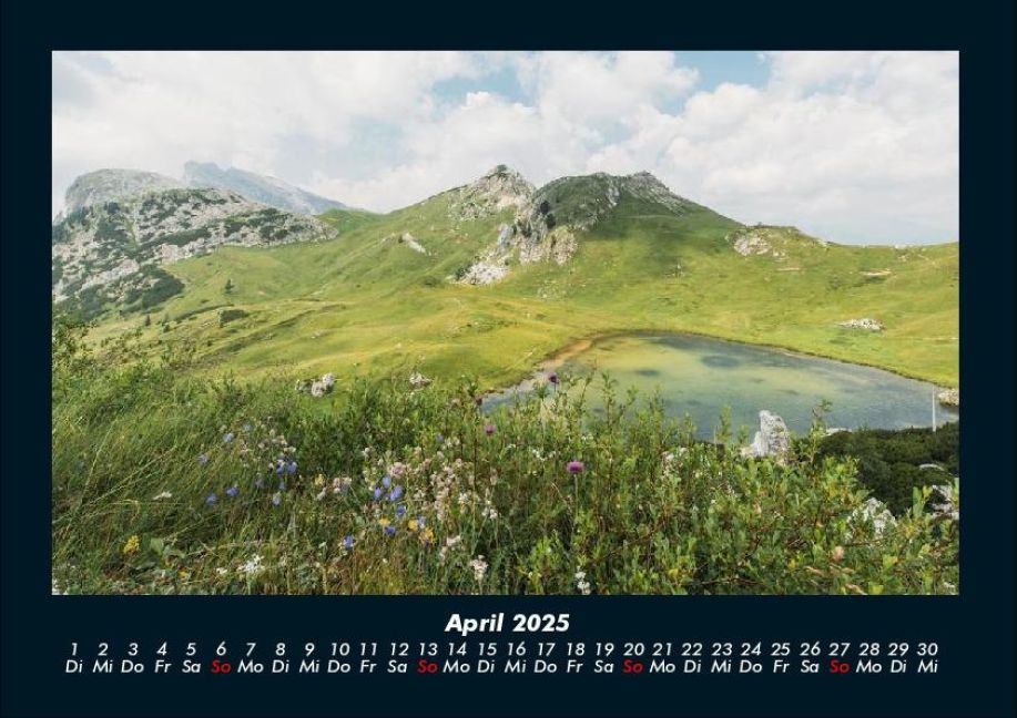 InsideView 8