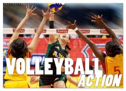 Cover-Bild zum Titel 'Volleyball Action (Wandkalender 2027 DIN A2 quer), CALVENDO Monatskalender' von 'Boris Robert'