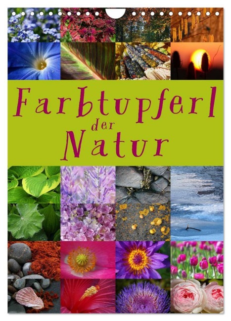 Farbtupferl der Natur (Wandkalender 2026 DIN A4 hoch), CALVENDO Monatskalender - Martina Cross