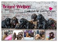 Briard-Welpen - Knuddelbären zum Verlieben (Tischkalender 2025 DIN A5 quer), CALVENDO Monatskalender - Sonja Teßen
