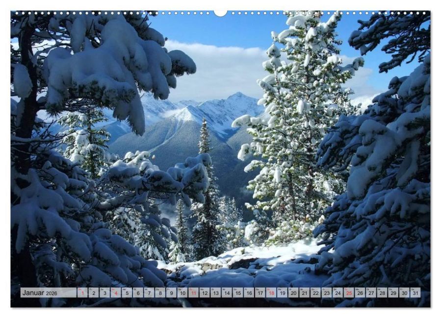 InsideView 6