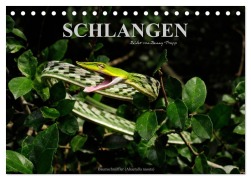Cover-Bild zum Titel 'Schlangen (Tischkalender 2027 DIN A5 quer), CALVENDO Monatskalender' von 'Benny Trapp'