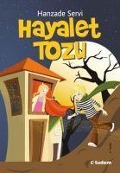 Cover-Bild zum Titel 'Hayalet Tozu' von 'Hanzade Servi'