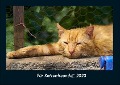 Für Katzenfreunde 2023 Fotokalender DIN A4 - Tobias Becker