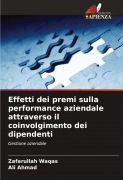 Cover-Bild zum Titel 'Effetti dei premi sulla performance aziendale attraverso il coinvolgimento dei dipendenti' von 'Zafarullah Waqas, Ali Ahmad'