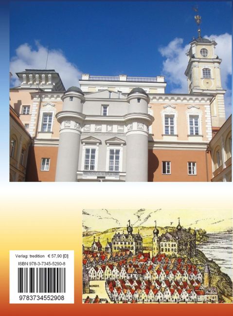 InsideView 1