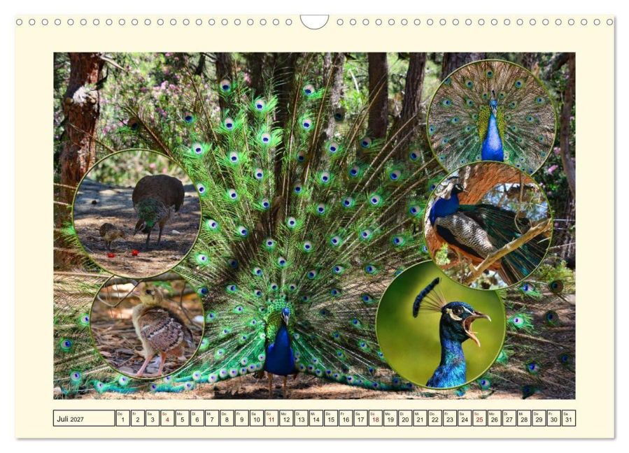 InsideView 12