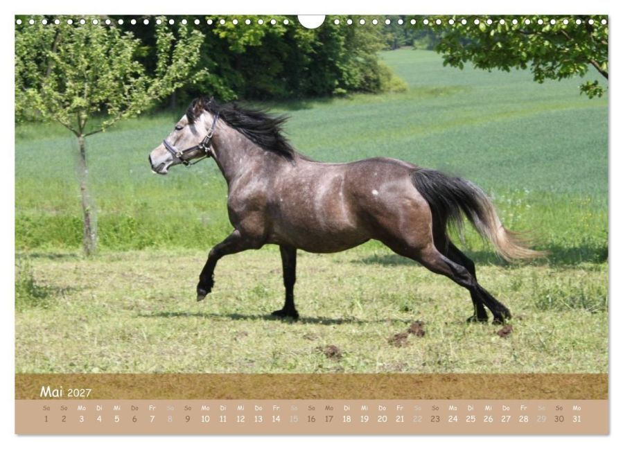 InsideView 10