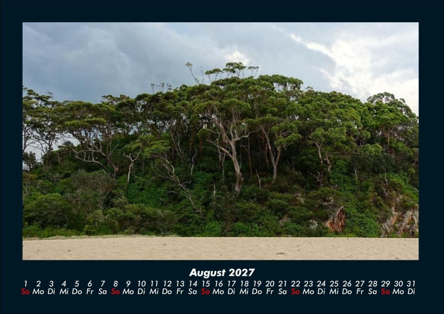 InsideView 12