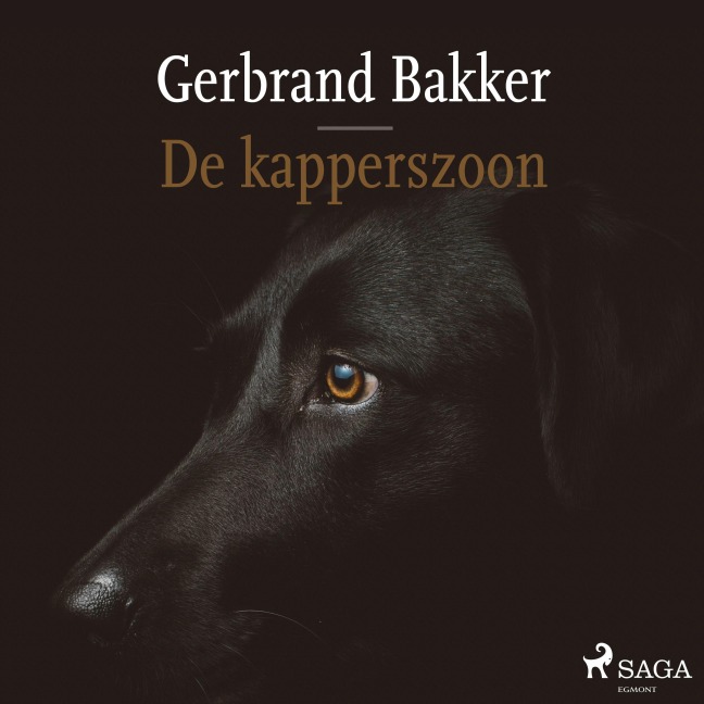 De kapperszoon - Gerbrand Bakker