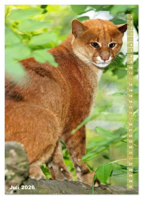 InsideView 12