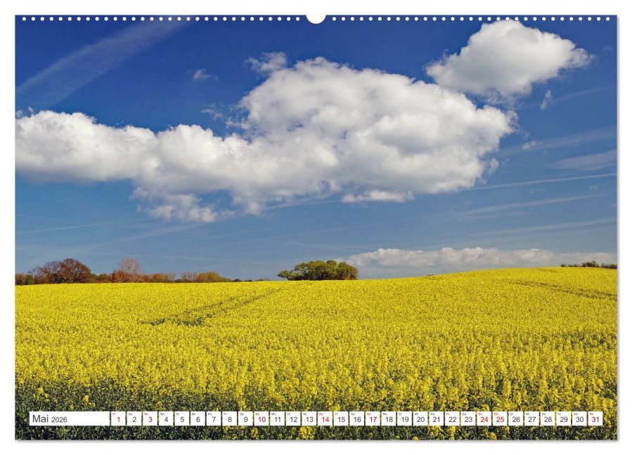 InsideView 10