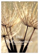 Pusteblumentraum - Dreams of Dandelion (Wandkalender 2026 DIN A2 hoch), CALVENDO Monatskalender - Julia Delgado