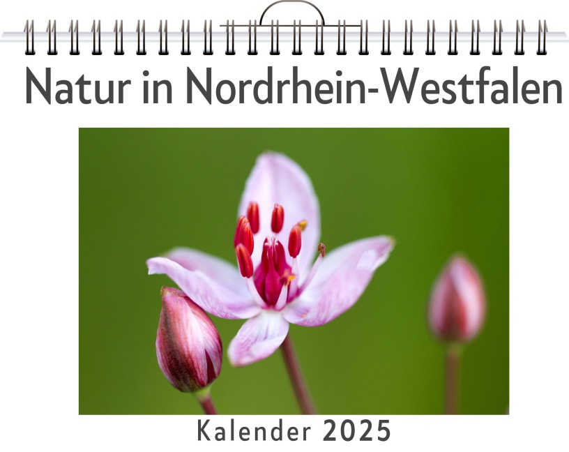 Natur in Nordrhein-Westfalen - Finn Friedrich