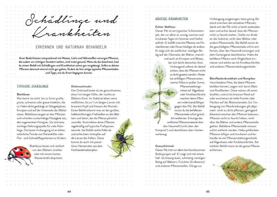 InsideView 10