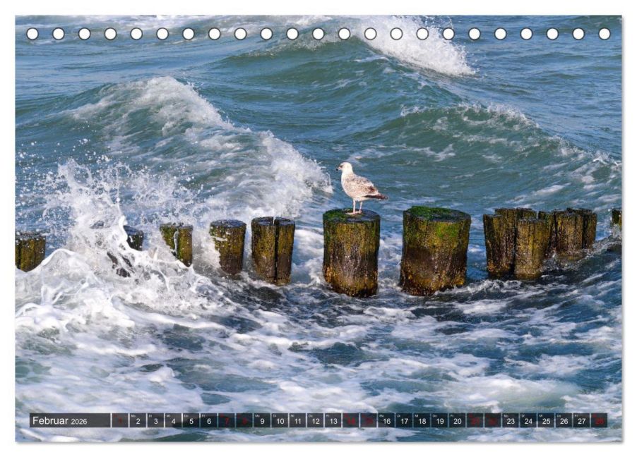 InsideView 7
