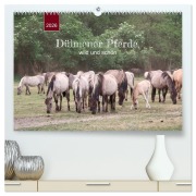 Cover-Bild zum Titel 'Dülmener Pferde, wild und schön (hochwertiger Premium Wandkalender 2026 DIN A2 quer), Kunstdruck in Hochglanz' von 'Angelika Keller'