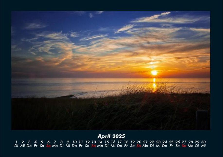 InsideView 8