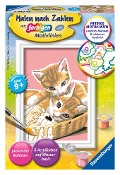 Ravensburger Malen nach Zahlen 29686 - Katzenbabys - Kinder ab 9 Jahren - 