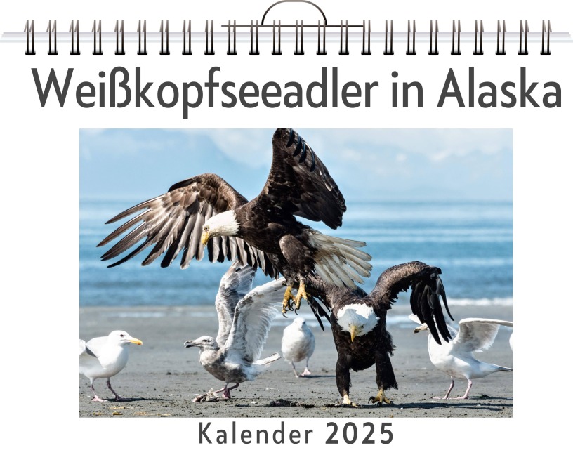 Weißkopfseeadler in Alaska - Noah Bauer