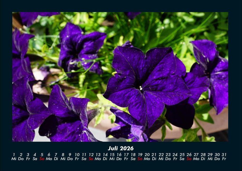 InsideView 11