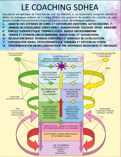 Cours de coaching thérapeutique SDHEA - Jean-Louis Penin