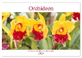 Orchideen Feuerwerk der Farben (Wandkalender 2024 DIN A2 quer), CALVENDO Monatskalender - Gisela Kruse