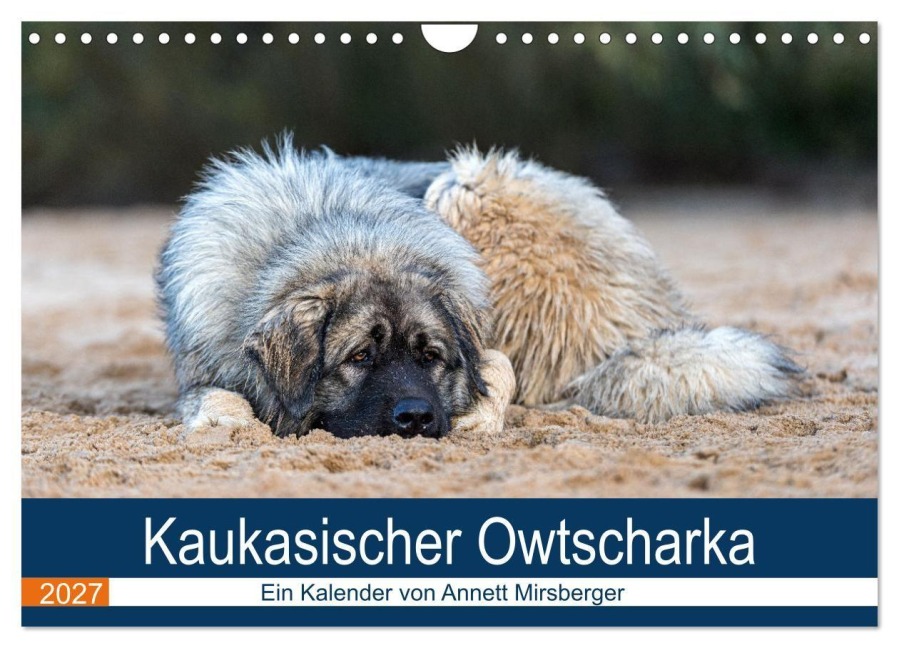 Kaukasischer Owtscharka (Wandkalender 2027 DIN A4 quer), CALVENDO Monatskalender - Annett Mirsberger