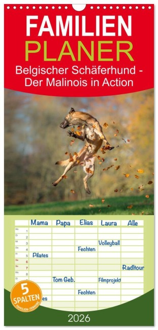 Familienplaner 2026 - Belgischer Schäferhund - Der Malinois in Action mit 5 Spalten (Wandkalender, 21 x 45 cm) CALVENDO - Tanja Brandt