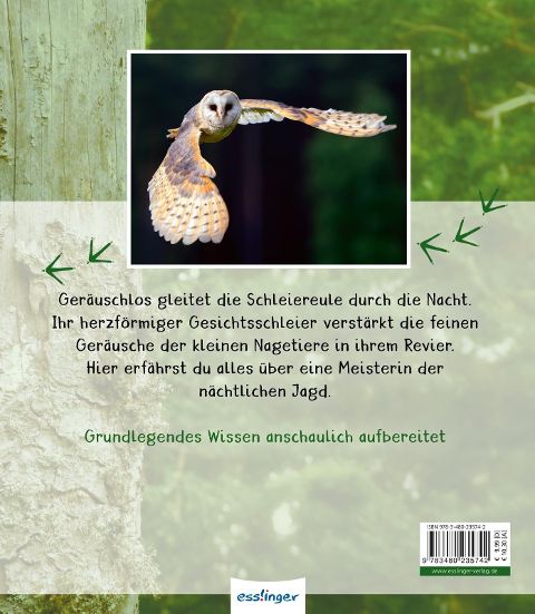 InsideView 6