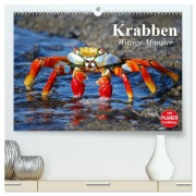 Cover-Bild zum Titel 'Krabben. Witzige Monster (hochwertiger Premium Wandkalender 2026 DIN A2 quer), Kunstdruck in Hochglanz' von 'Elisabeth Stanzer'