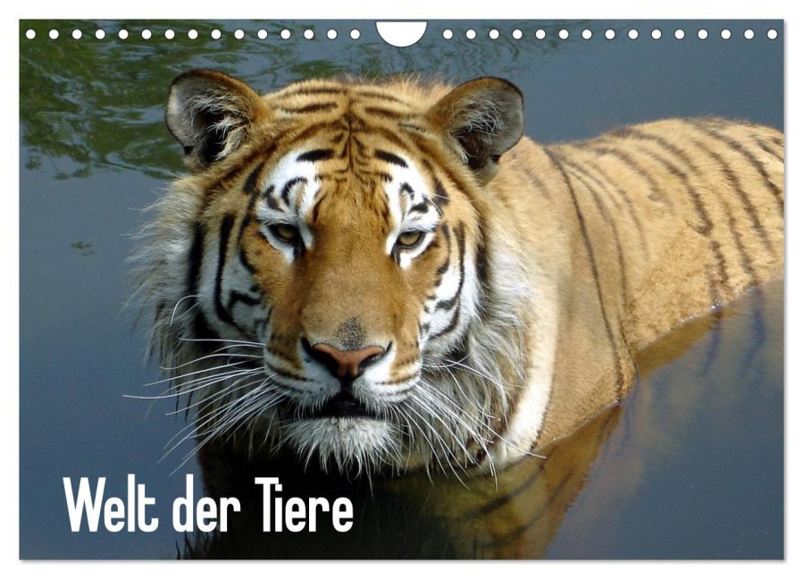 Welt der Tiere (Wandkalender 2026 DIN A4 quer), CALVENDO Monatskalender - Tanja Riedel