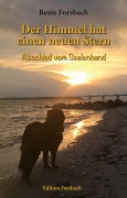 Cover-Bild zum Titel 'Der Himmel hat einen neuen Stern' von 'Beate Forsbach'