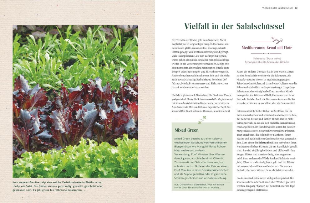 InsideView 2
