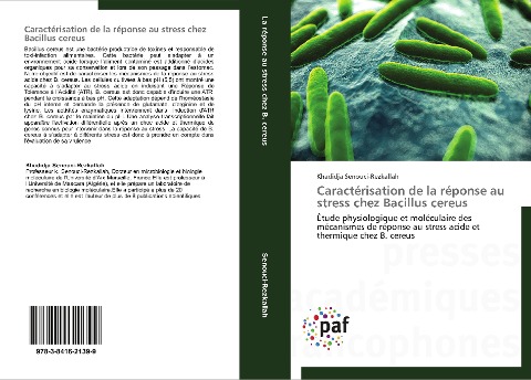 Caractérisation de la réponse au stress chez Bacillus cereus - Khadidja Senouci-Rezkallah