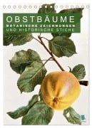 Obstbäume: Botanische Zeichnungen und historische Stiche (Tischkalender 2026 DIN A5 hoch), CALVENDO Monatskalender - Calvendo Calvendo