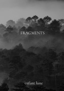 Cover-Bild zum Titel 'Fragments' von 'Enfant Lune'