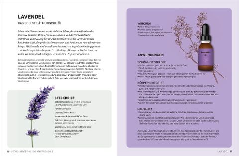 InsideView 2