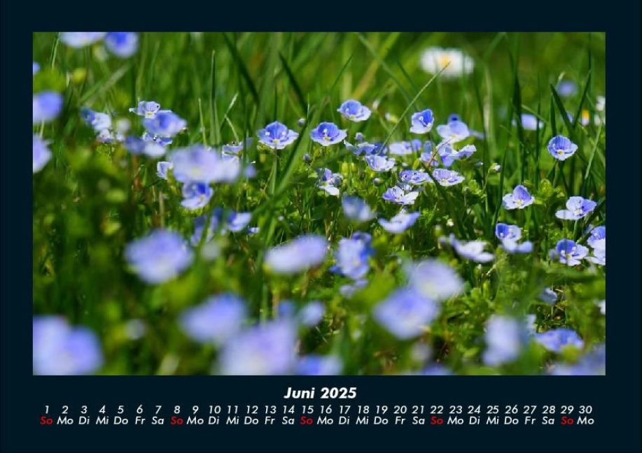 InsideView 10