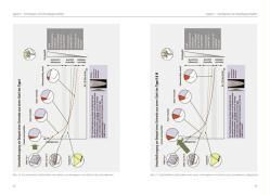 InsideView 2
