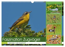 Cover-Bild zum Titel 'Faszination Zugvögel - Rekorde in der Vogelwelt (Wandkalender 2026 DIN A3 quer), CALVENDO Monatskalender' von 'René Schaack'
