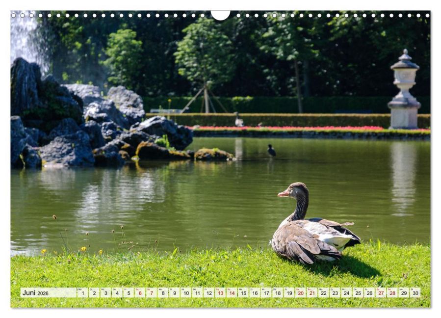 InsideView 11