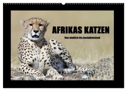 Cover-Bild zum Titel 'Afrikas Katzen (Wandkalender 2026 DIN A2 quer), CALVENDO Monatskalender' von 'Angelika Stern'