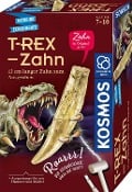 T-rex - Zahn - 