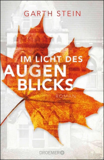 Im Licht des Augenblicks - Garth Stein